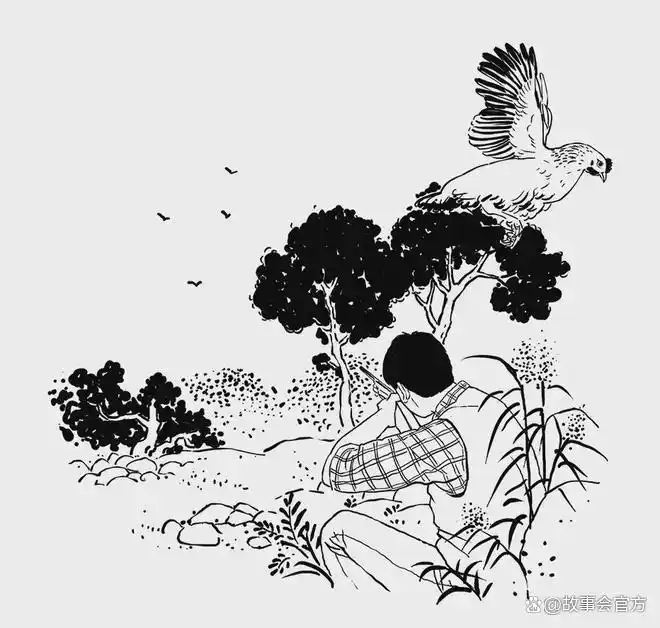吃鸡的缘分