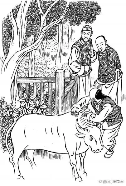 无尾狐仙