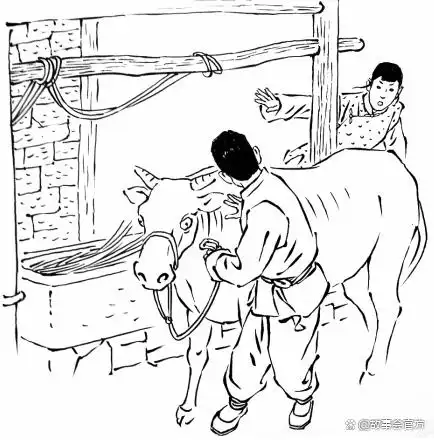 打赌治口疮