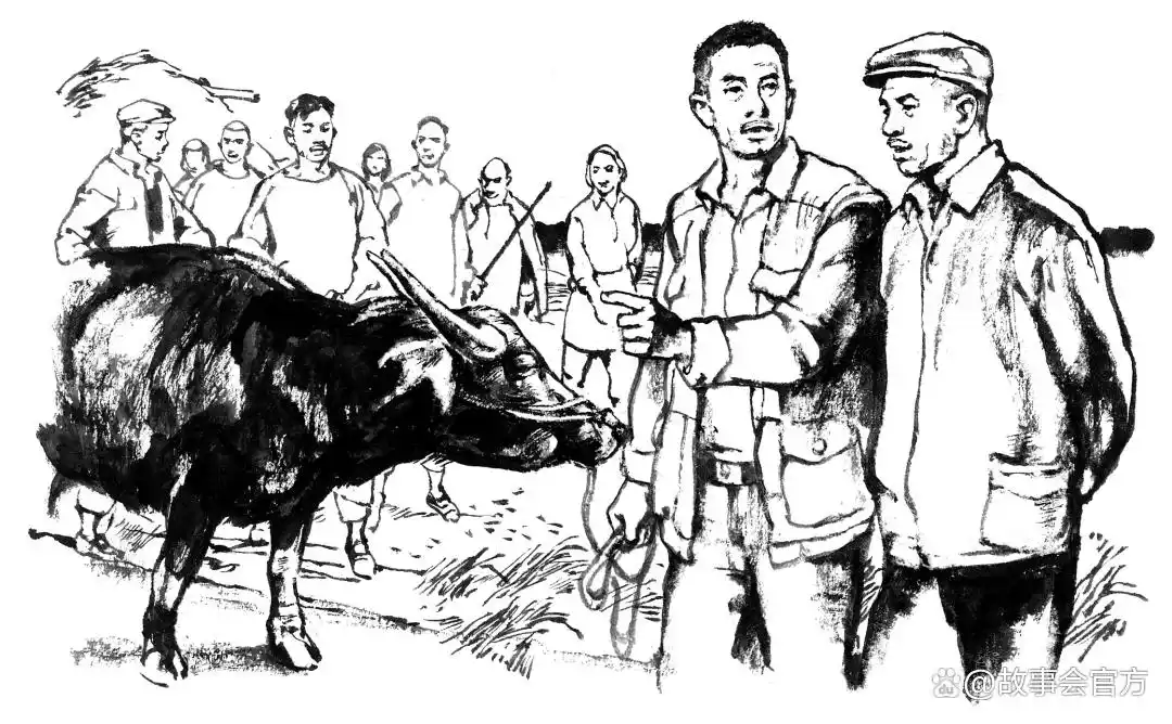 一头牛，一片情